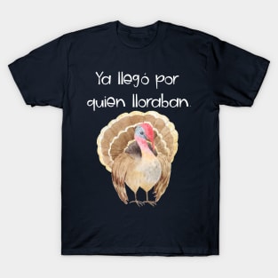 Camisa Chistosa en Espanol Funny Shirt in Spanish T-Shirt